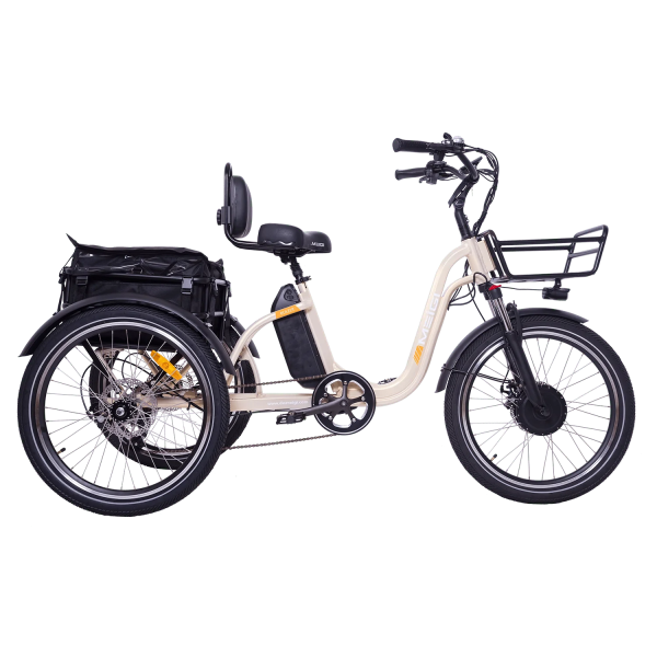 DWMEIGI Blazer MG2303 48V/16Ah 750W Electric Trike