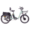 DWMEIGI Blazer MG2303 48V/16Ah 750W Electric Trike