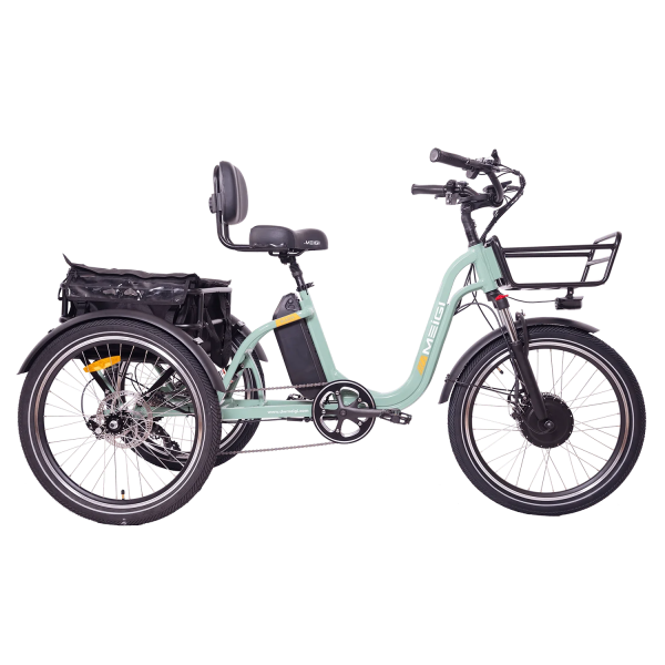 DWMEIGI Blazer MG2303 48V/16Ah 750W Electric Trike