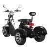 Citycoco 60V/40Ah 2000W Electric Trike Scooter